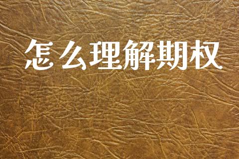 怎么理解期权_https://wap.lxcailiao.com_融资担保_第1张
