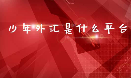 少年外汇是什么平台_https://wap.lxcailiao.com_股权投资_第1张