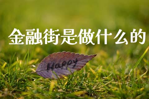 金融街是做什么的_https://wap.lxcailiao.com_金融监管_第1张