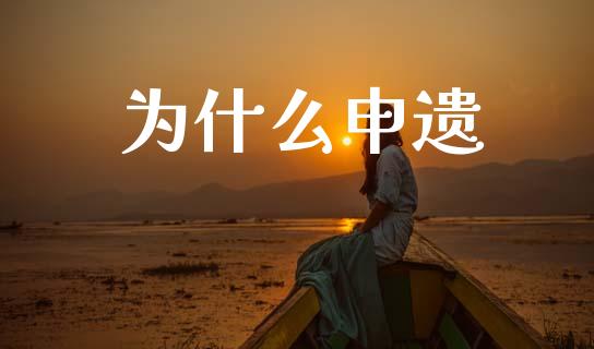 为什么申遗_https://wap.lxcailiao.com_股权投资_第1张