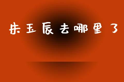 朱玉辰去哪里了_https://wap.lxcailiao.com_财务管理_第1张