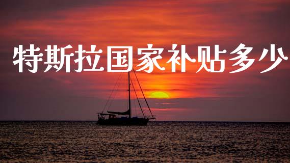 特斯拉国家补贴多少_https://wap.lxcailiao.com_财务管理_第1张