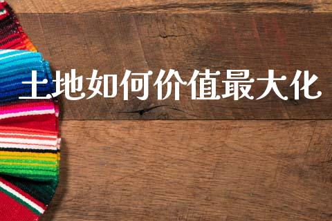 土地如何价值最大化_https://wap.lxcailiao.com_财务管理_第1张