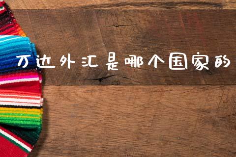 万达外汇是哪个国家的_https://wap.lxcailiao.com_融资担保_第1张