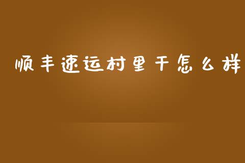 顺丰速运村里干怎么样_https://wap.lxcailiao.com_金融监管_第1张