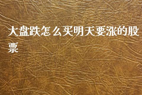 大盘跌怎么买明天要涨的股票_https://wap.lxcailiao.com_财务管理_第1张