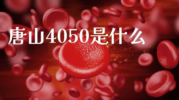 唐山4050是什么_https://wap.lxcailiao.com_金融监管_第1张