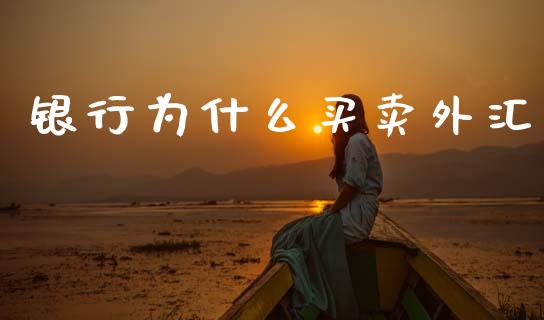 银行为什么买卖外汇_https://wap.lxcailiao.com_金融监管_第1张