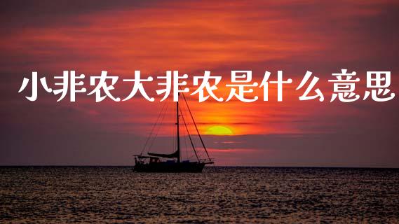 小非农大非农是什么意思_https://wap.lxcailiao.com_股权投资_第1张