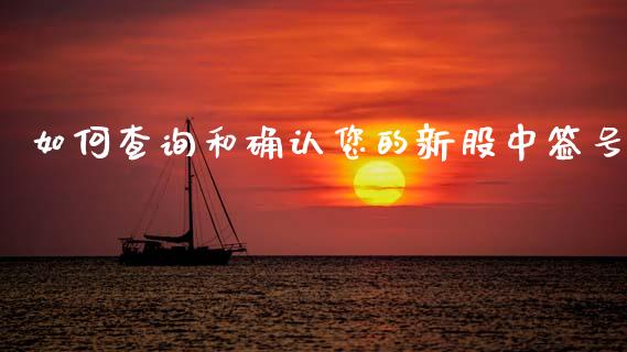 如何查询和确认您的新股中签号_https://wap.lxcailiao.com_融资担保_第1张