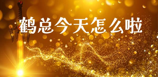 鹤总今天怎么啦_https://wap.lxcailiao.com_金融监管_第1张