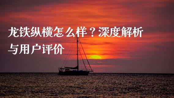 龙铁纵横怎么样？深度解析与用户评价_https://wap.lxcailiao.com_融资担保_第1张