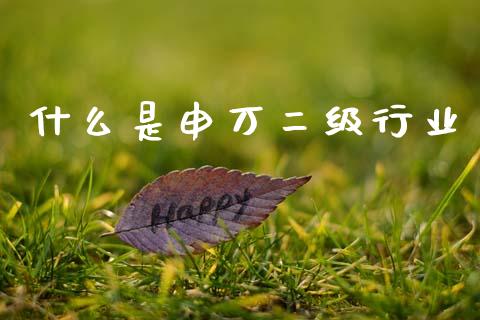 什么是申万二级行业_https://wap.lxcailiao.com_融资担保_第1张