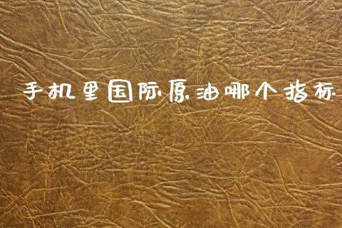 手机里国际原油哪个指标_https://wap.lxcailiao.com_金融监管_第1张