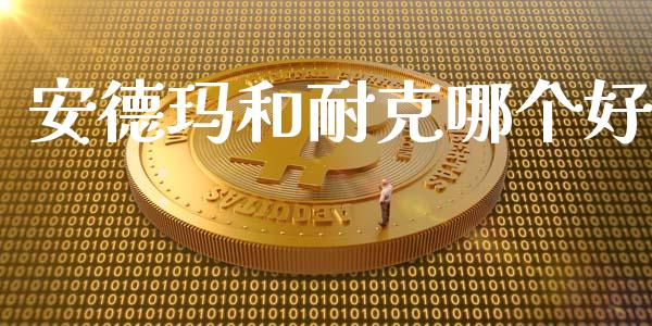 安德玛和耐克哪个好_https://wap.lxcailiao.com_融资担保_第1张