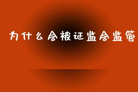 为什么会被证监会监管_https://wap.lxcailiao.com_财务管理_第1张