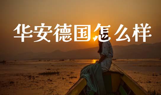 华安德国怎么样_https://wap.lxcailiao.com_融资担保_第1张