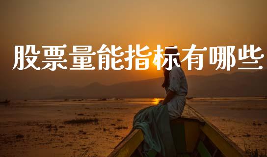 股票量能指标有哪些_https://wap.lxcailiao.com_金融监管_第1张