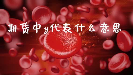 期货中y代表什么意思_https://wap.lxcailiao.com_财务管理_第1张