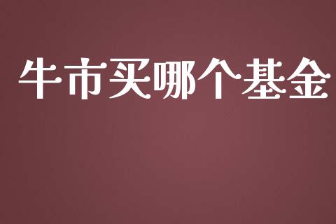 牛市买哪个基金_https://wap.lxcailiao.com_融资担保_第1张
