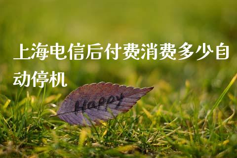 上海电信后付费消费多少自动停机_https://wap.lxcailiao.com_财务管理_第1张