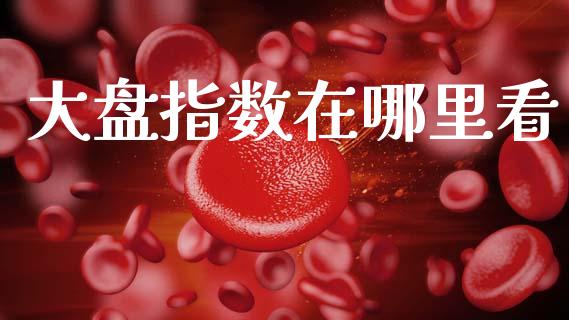 大盘指数在哪里看_https://wap.lxcailiao.com_财务管理_第1张