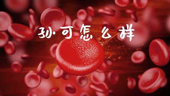 孙可怎么样_https://wap.lxcailiao.com_融资担保_第1张