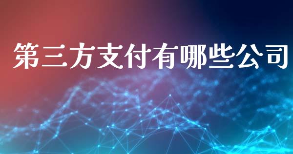 第三方支付有哪些公司_https://wap.lxcailiao.com_金融监管_第1张