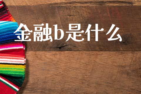 金融b是什么_https://wap.lxcailiao.com_股权投资_第1张
