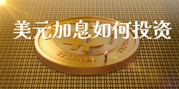 美元加息如何投资_https://wap.lxcailiao.com_股权投资_第1张