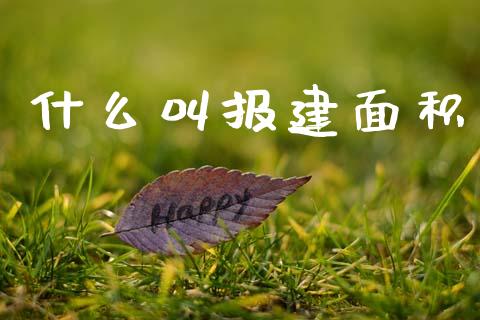 什么叫报建面积_https://wap.lxcailiao.com_财务管理_第1张