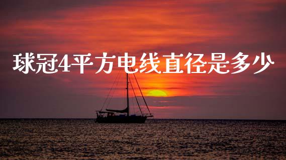 球冠4平方电线直径是多少_https://wap.lxcailiao.com_金融监管_第1张