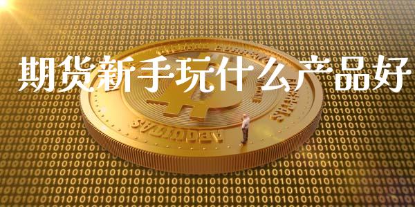 期货新手玩什么产品好_https://wap.lxcailiao.com_融资担保_第1张