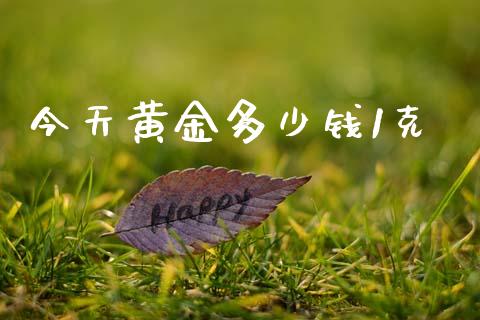 今天黄金多少钱1克_https://wap.lxcailiao.com_融资担保_第1张