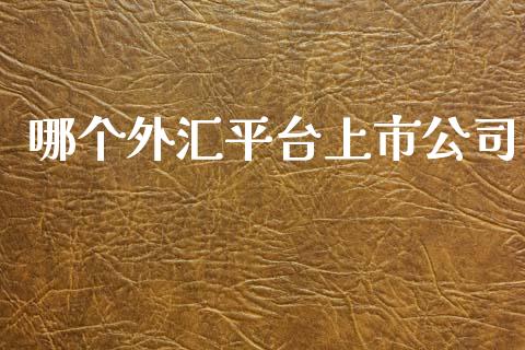 哪个外汇平台上市公司_https://wap.lxcailiao.com_融资担保_第1张
