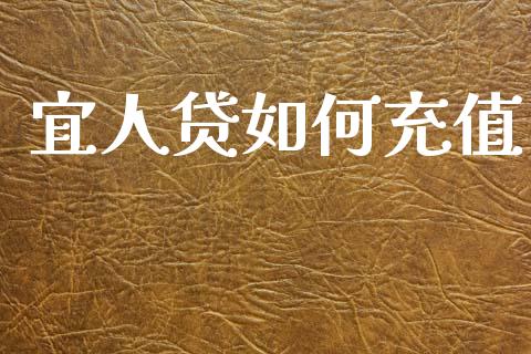 宜人贷如何充值_https://wap.lxcailiao.com_财务管理_第1张