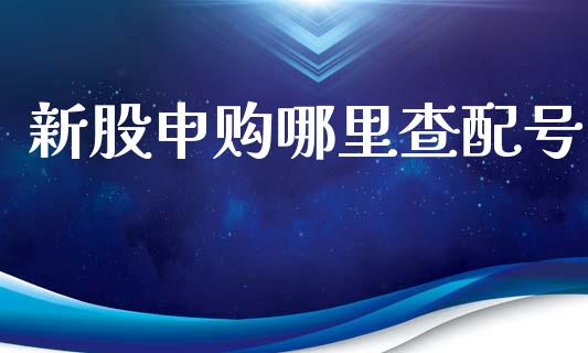 新股申购哪里查配号_https://wap.lxcailiao.com_财务管理_第1张