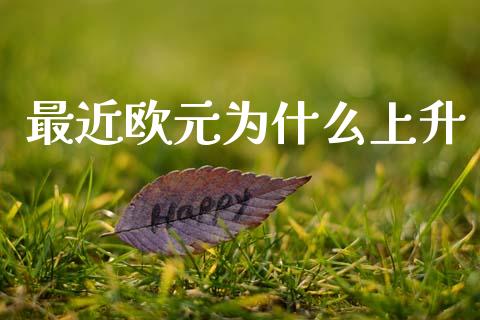 最近欧元为什么上升_https://wap.lxcailiao.com_财务管理_第1张