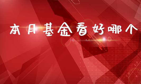 本月基金看好哪个_https://wap.lxcailiao.com_股权投资_第1张