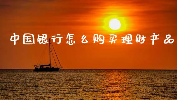 中国银行怎么购买理财产品_https://wap.lxcailiao.com_财务管理_第1张