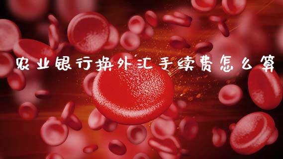 农业银行换外汇手续费怎么算_https://wap.lxcailiao.com_融资担保_第1张