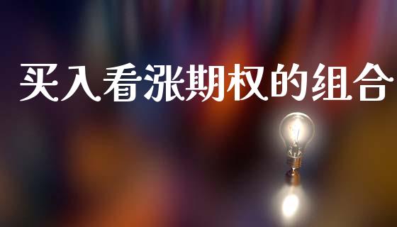 买入看涨期权的组合_https://wap.lxcailiao.com_融资担保_第1张