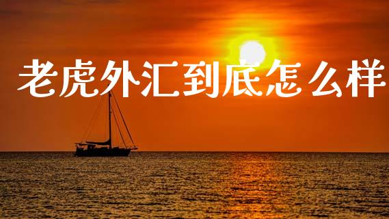 老虎外汇到底怎么样_https://wap.lxcailiao.com_融资担保_第1张