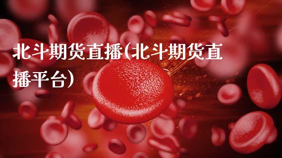 北斗期货直播(北斗期货直播平台)_https://wap.lxcailiao.com_财务管理_第1张