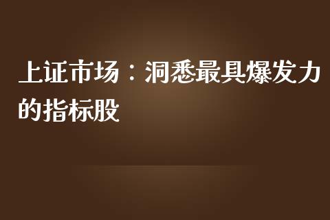 上证市场：洞悉最具爆发力的指标股_https://wap.lxcailiao.com_金融监管_第1张