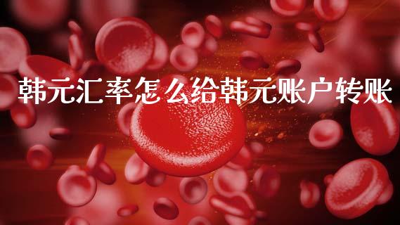 韩元汇率怎么给韩元账户转账_https://wap.lxcailiao.com_金融监管_第1张