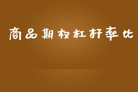 商品期权杠杆率比_https://wap.lxcailiao.com_财务管理_第1张
