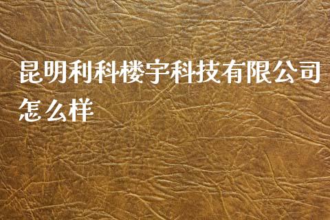 昆明利科楼宇科技有限公司怎么样_https://wap.lxcailiao.com_财务管理_第1张