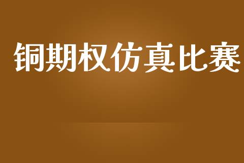 铜期权仿真比赛_https://wap.lxcailiao.com_财务管理_第1张