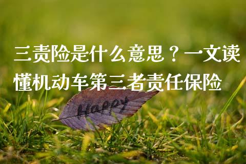 三责险是什么意思？一文读懂机动车第三者责任保险_https://wap.lxcailiao.com_股权投资_第1张